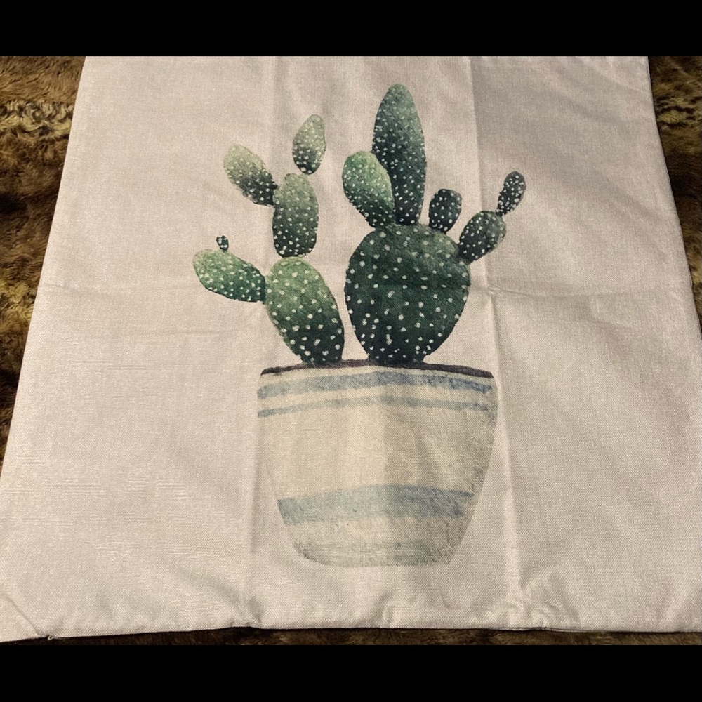 BIG Toss Pillow Cover SUCCULENT Prickly CACTUS Decorative NEW Southwest Desert!